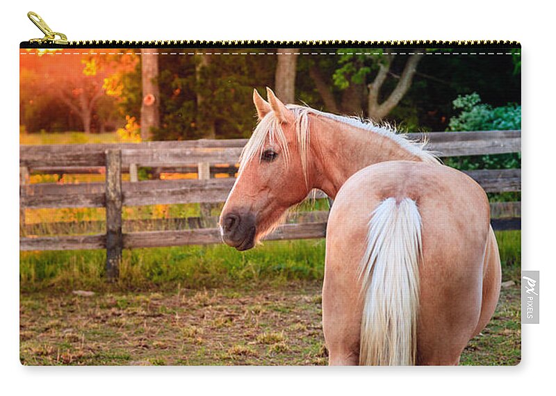Bluegrass Zip Pouch featuring the photograph Horse on a farm #4 by Alexey Stiop
