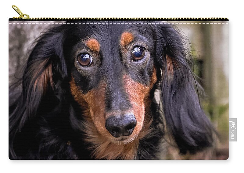 Mammals Zip Pouch featuring the photograph Katie #2 by Jim Thompson