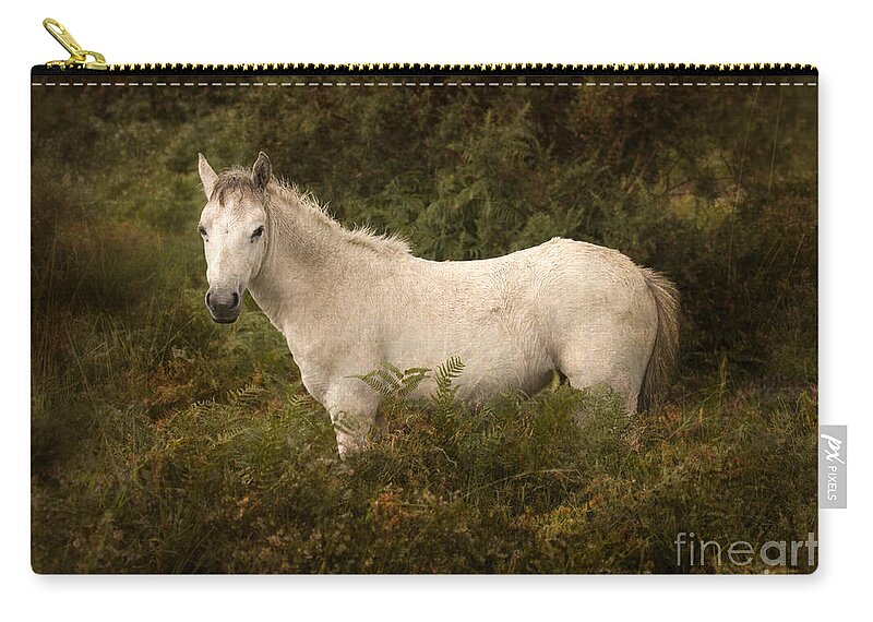 Pony Zip Pouch featuring the photograph New Forest #4 by Ang El
