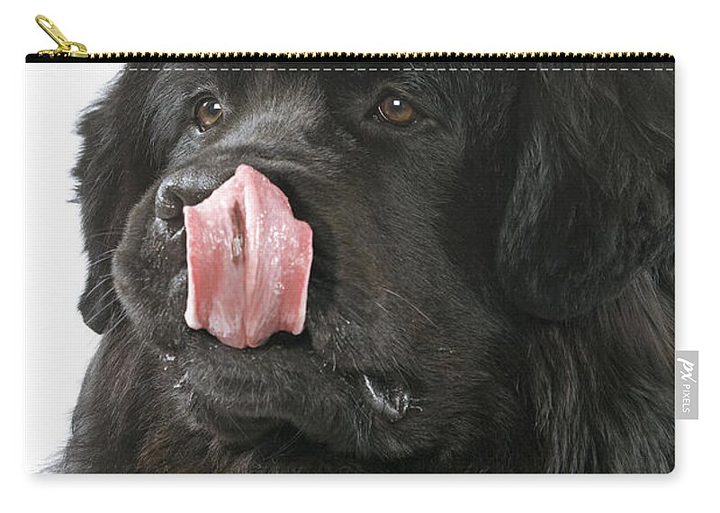 Newfoundland Zip Pouch featuring the photograph Newfoundland Dog #4 by Jean-Michel Labat