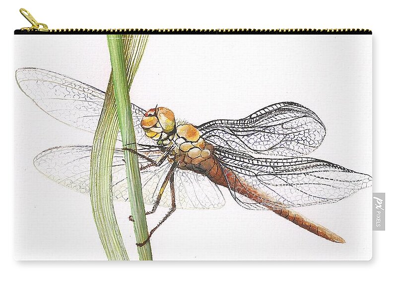 Dragonfly Zip Pouch featuring the painting Sheer Wings / sold #3 by Barbara Anna Cichocka