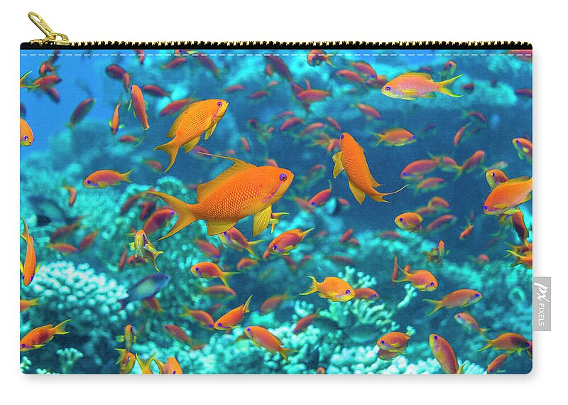 Tranquility Zip Pouch featuring the photograph Coral Reef Scenery #40 by Georgette Douwma