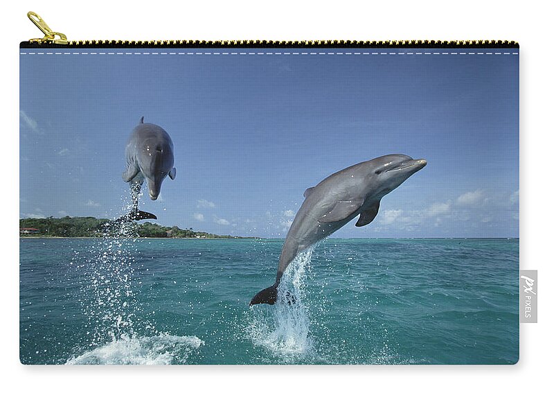 Feb0514 Zip Pouch featuring the photograph Bottlenose Dolphin Pair Leaping Honduras #5 by Konrad Wothe