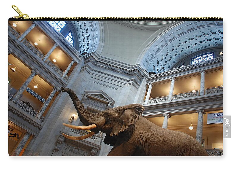 Bull Elephant Zip Pouch featuring the photograph Bull Elephant in Natural History Rotunda #5 by Kenny Glover