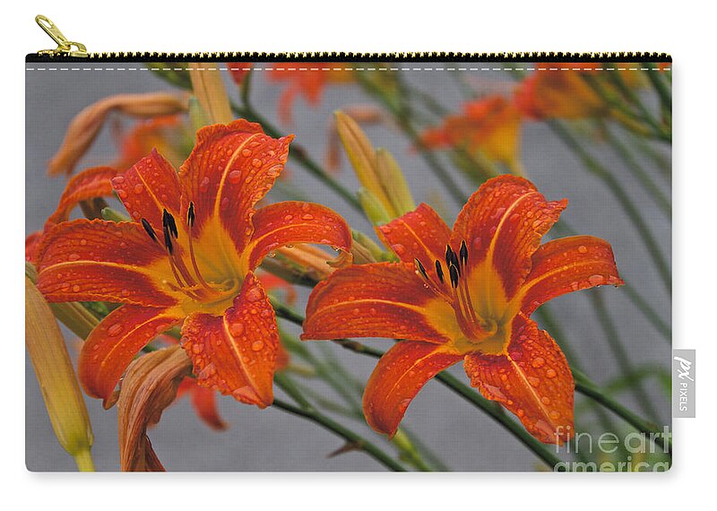 Day Lilly Zip Pouch featuring the photograph Day Lilly #5 by William Norton
