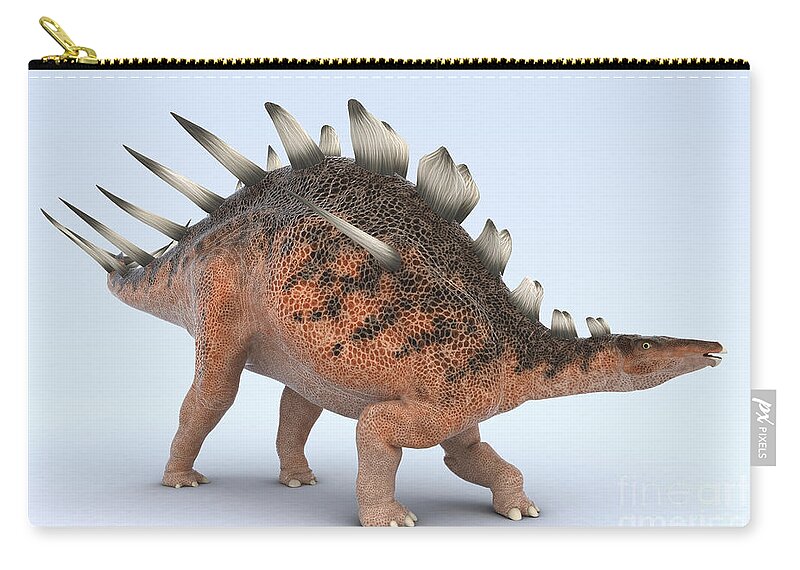 Extinction Zip Pouch featuring the photograph Dinosaur Kentrosaurus #5 by Science Picture Co