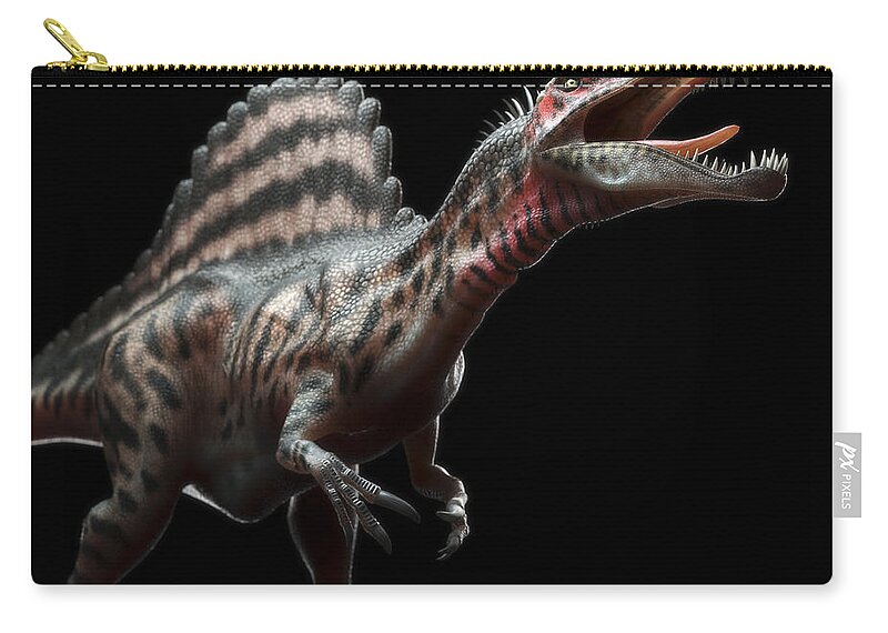 Extinction Zip Pouch featuring the photograph Dinosaur Spinosaurus #5 by Science Picture Co