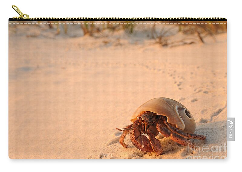 Beach Zip Pouch featuring the photograph Hermit Crab by Scott Linstead