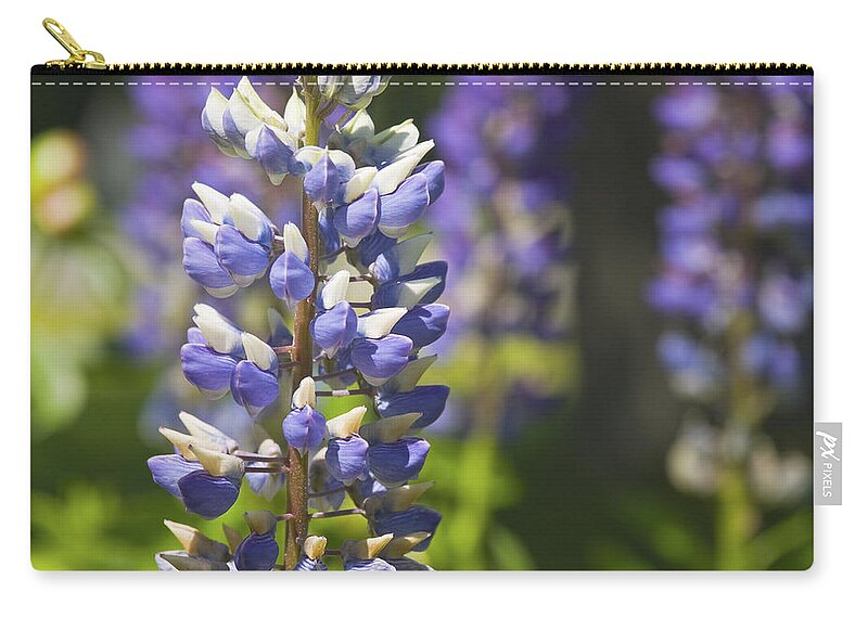 Lupine Zip Pouch featuring the photograph Purple Lupine Flowers #5 by Keith Webber Jr