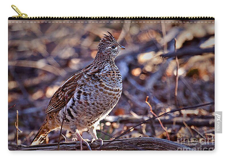 Bedford Carry-all Pouch featuring the photograph Ruffed Grouse by Ronald Lutz