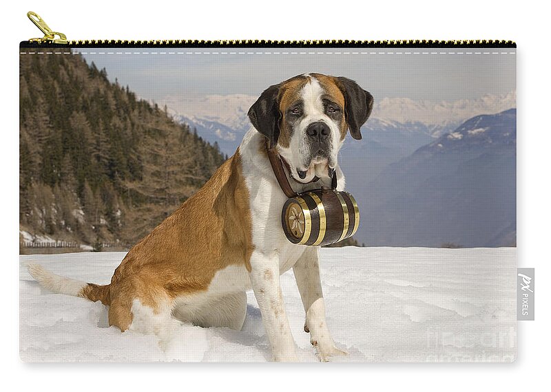 Dog Zip Pouch featuring the photograph Saint Bernard #5 by Jean-Michel Labat
