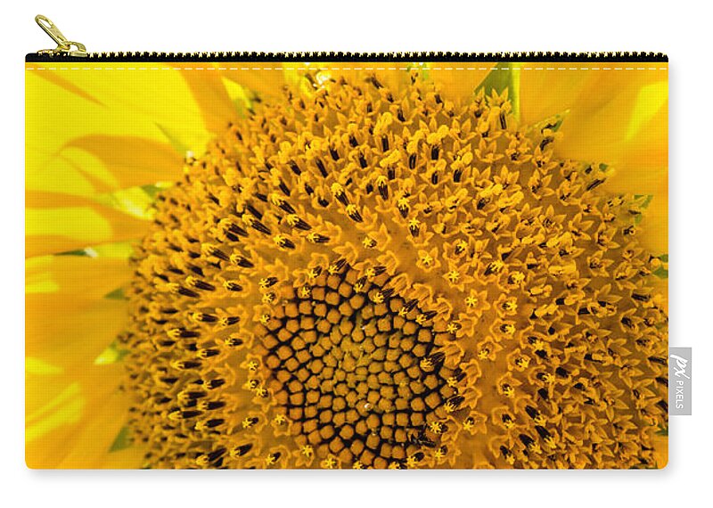 Blooming Zip Pouch featuring the photograph Florets in Bloom by Melinda Ledsome