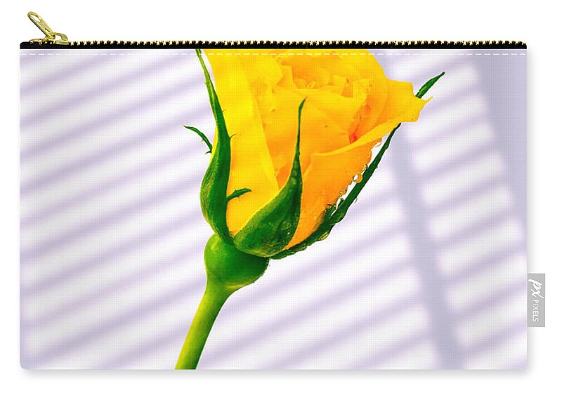 Blinds Zip Pouch featuring the photograph Yellow Rose #5 by Mark Llewellyn