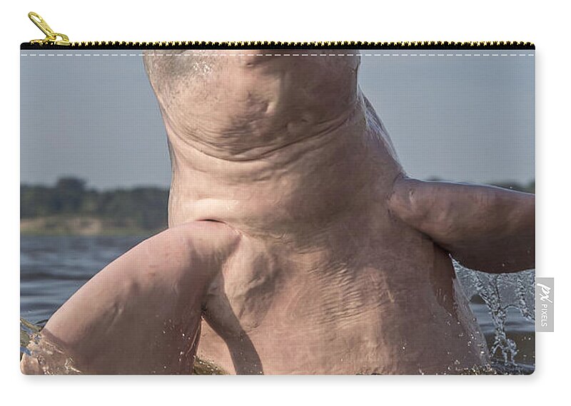 Amazon River Dolphin Zip Pouch featuring the photograph Amazon River Dolphin #6 by M. Watson