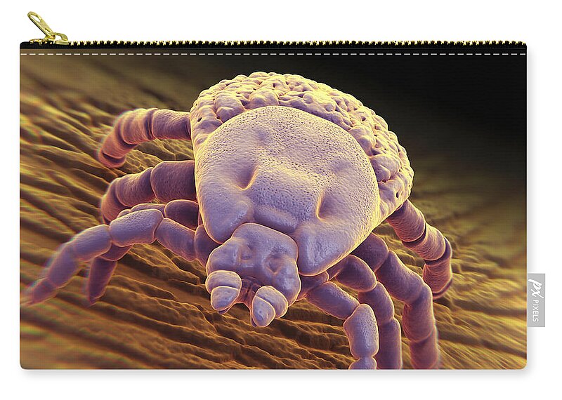 Animal Zip Pouch featuring the photograph Tick Ixodes #6 by Science Picture Co