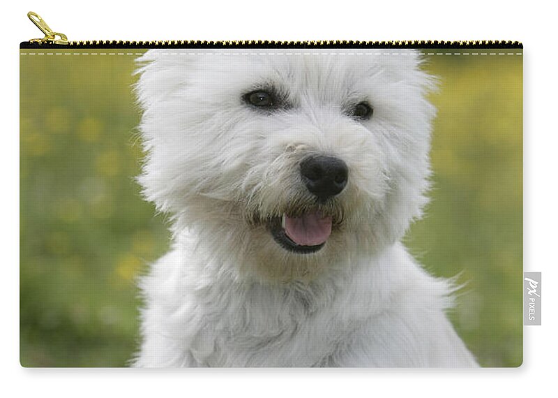 Dog Zip Pouch featuring the photograph West Highland White Terrier #6 by Rolf Kopfle