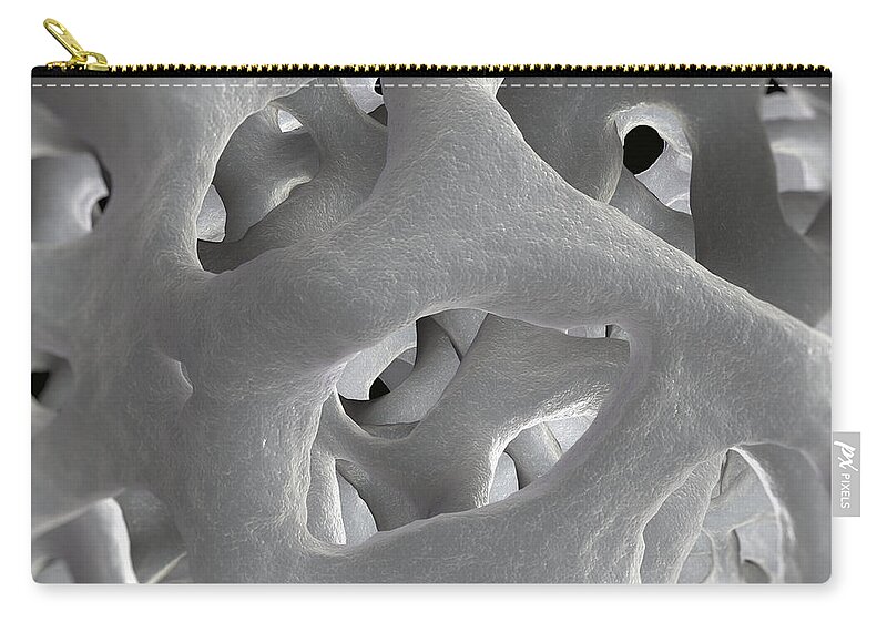 Bone Zip Pouch featuring the photograph Cancellous Bone #7 by Science Picture Co