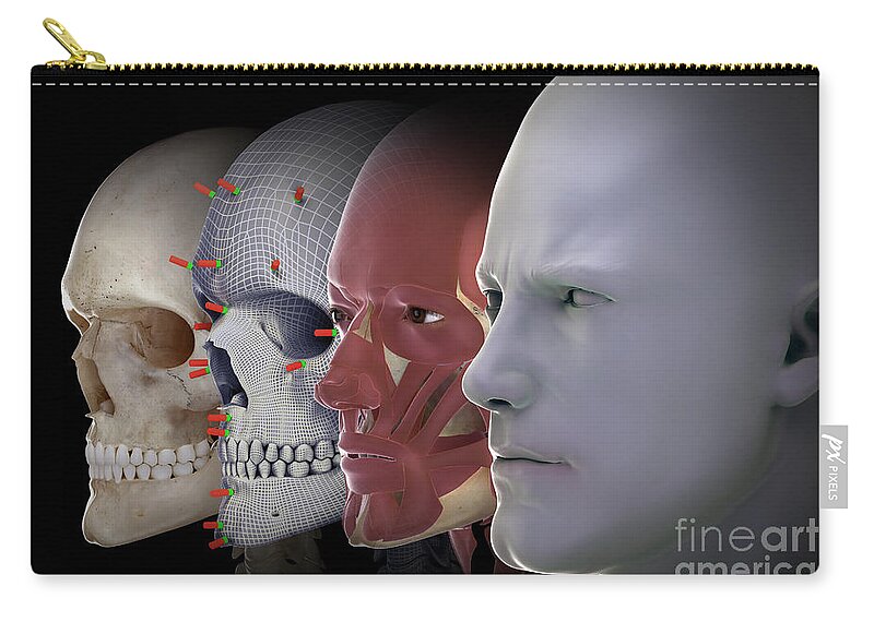 Biomedical Illustration Zip Pouch featuring the photograph Facial Reconstruction #7 by Science Picture Co