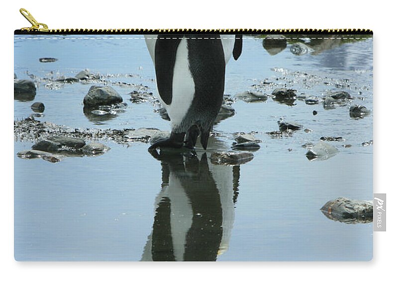 Reflection Zip Pouch featuring the photograph King Penguins #7 by Amanda Stadther