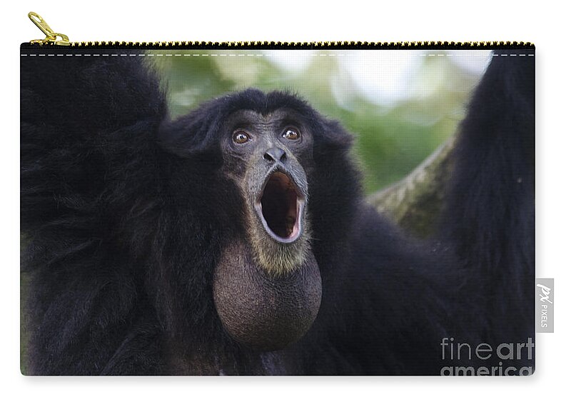 Nature Zip Pouch featuring the photograph Siamang #7 by Mark Newman
