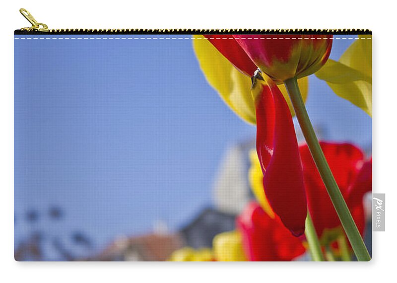 Nature Zip Pouch featuring the photograph Tulips #7 by Paulo Goncalves