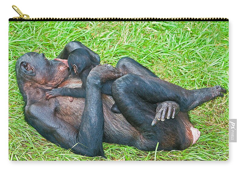 Nature Zip Pouch featuring the photograph Bonobo Mother And Baby #78 by Millard H. Sharp