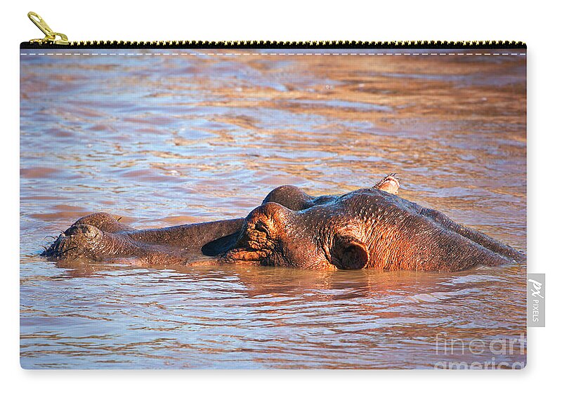 Hippo Zip Pouch featuring the photograph Hippopotamus in river. Serengeti. Tanzania #9 by Michal Bednarek