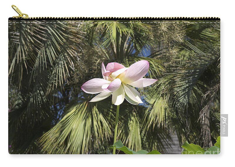 Stresa Zip Pouch featuring the photograph A Balmy Lotus Flower by Brenda Kean