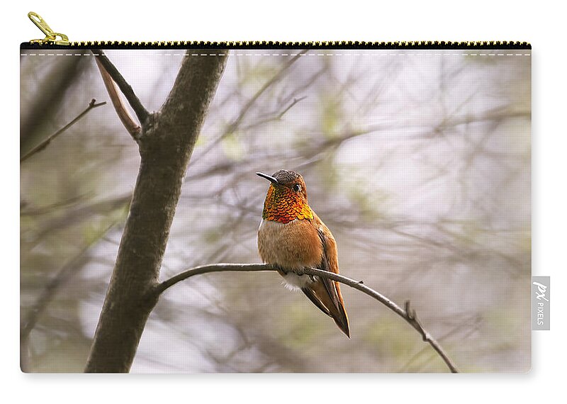 Hummingbirds Zip Pouch featuring the photograph A Colorful Character by Peggy Collins