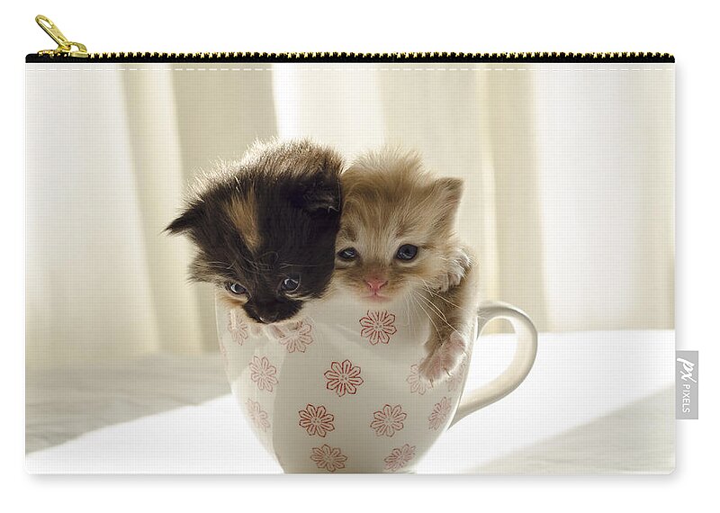 Cute Carry-all Pouch featuring the photograph A cup of cuteness by Spikey Mouse Photography