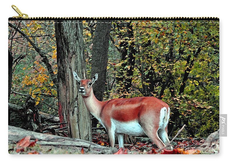 A Deer Look Zip Pouch featuring the photograph A Deer Look by Lydia Holly