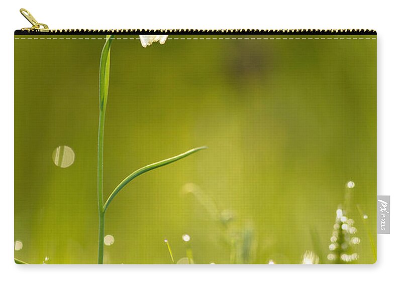 Bokeh Zip Pouch featuring the photograph A Fairies' Place III _Snake's head fritillary by Roeselien Raimond