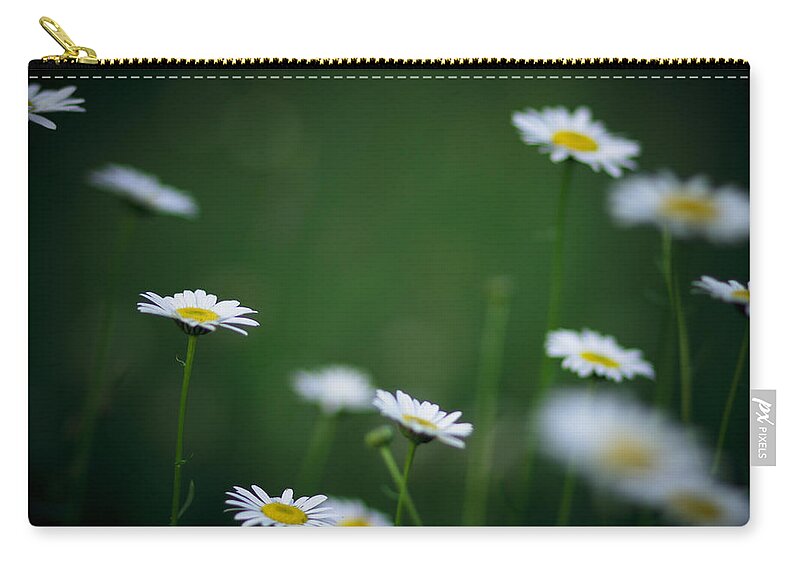 Daisies Zip Pouch featuring the photograph A Field Of Daisies by Shane Holsclaw