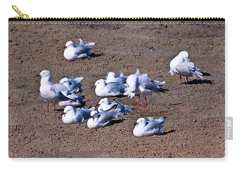 Birds Zip Pouch featuring the photograph A Flock of Seagulls by Darren Burton