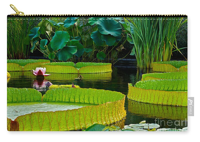 Victoria Cruziana Zip Pouch featuring the photograph A Garden In Gentle Waters by Byron Varvarigos