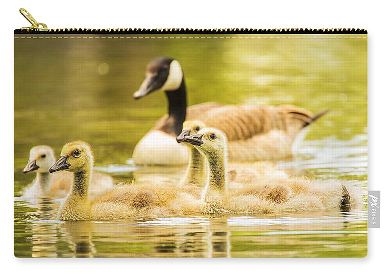 Goose Zip Pouch featuring the photograph A Goosey Family Affair by Bill and Linda Tiepelman