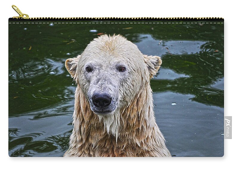 Bear Zip Pouch featuring the photograph A Growing Bear Needs His Lunch by Rabiri Us