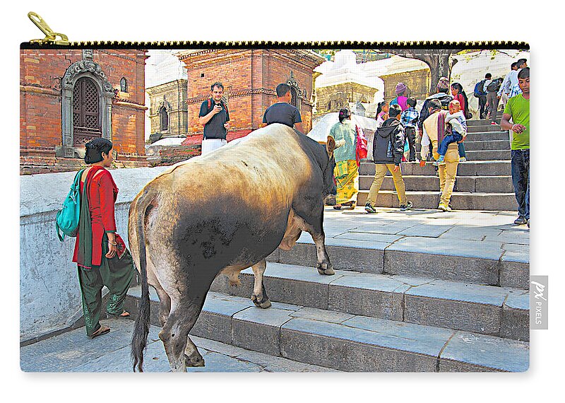 A Holy Cow Climbing Steps From Bagmati River In Kathmandu In Nepal Zip Pouch featuring the photograph A Holy Cow Climbing Steps from Bagmati River in Kathmandu-Nepal by Ruth Hager