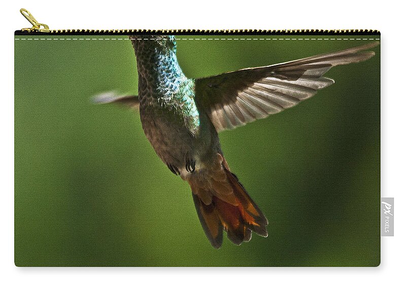 Bird Zip Pouch featuring the photograph A Jewel Flying by Heiko Koehrer-Wagner