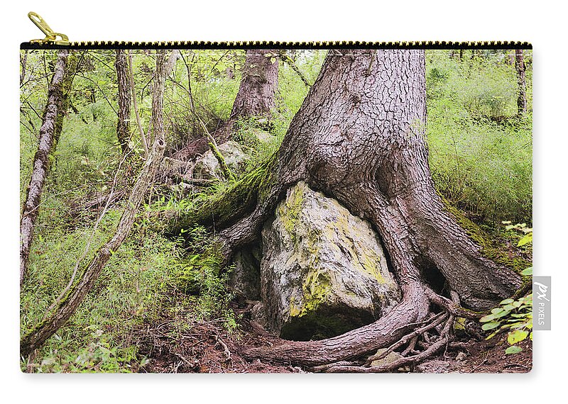 Wrapped Zip Pouch featuring the photograph A Large Trees Roots Grown Over A Large by Sergey Orlov / Design Pics