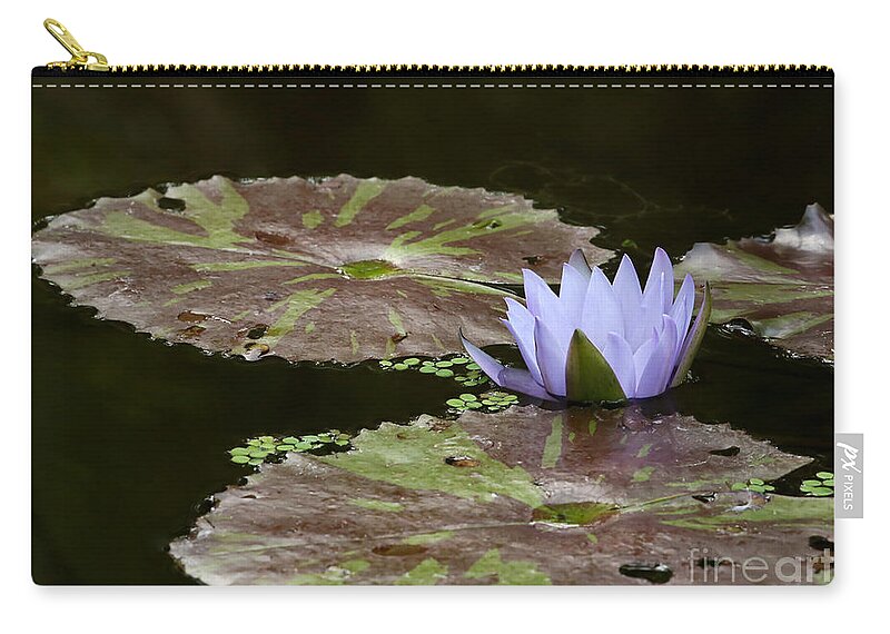 Art Zip Pouch featuring the photograph A Little Lavendar Water Lily by Sabrina L Ryan