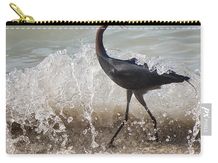 Jamaica Zip Pouch featuring the photograph A Morning Stroll Interrupted by Gary Slawsky