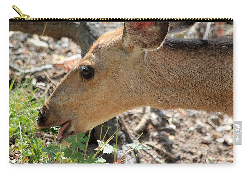Deer Zip Pouch featuring the photograph A Nibble Away by Shane Bechler