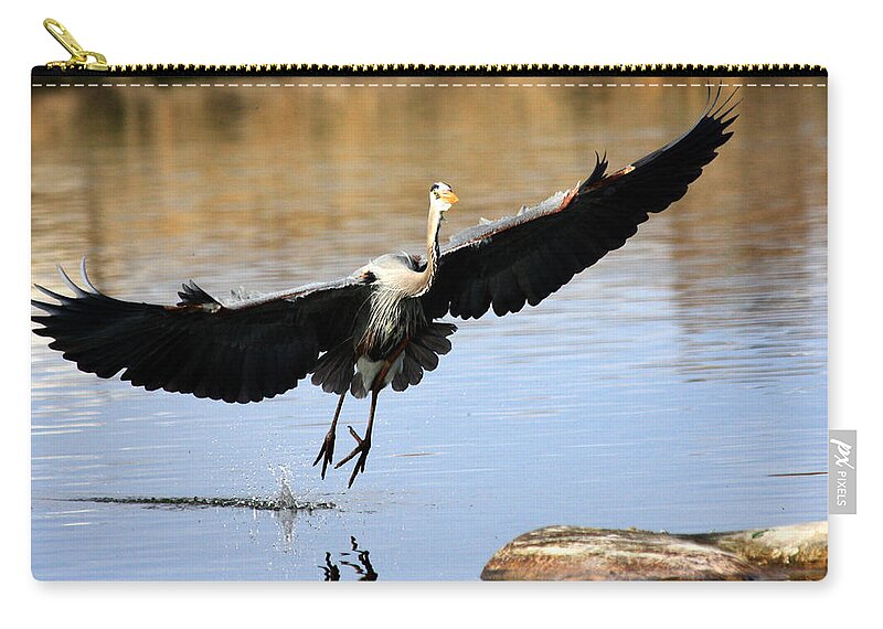 Great Blue Heron Carry-all Pouch featuring the photograph A Perfect Landing by Shane Bechler