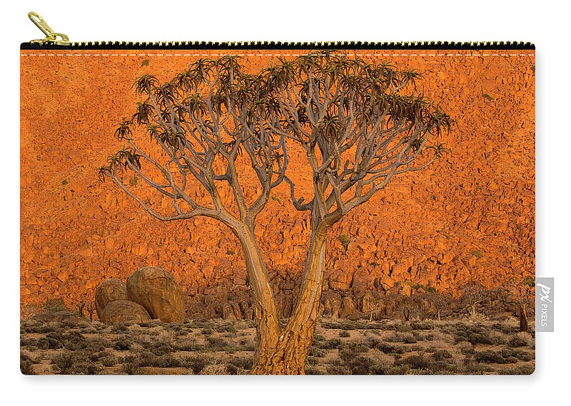 Tree Zip Pouch featuring the photograph A Quiver Tree, Or Kokerboom, Aloe by Robert Postma