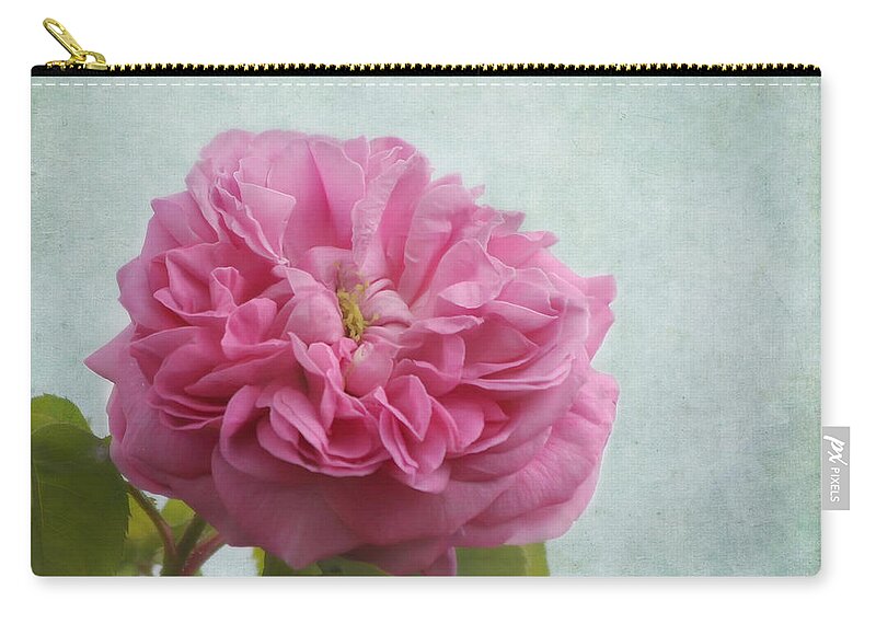 Pink Rose Zip Pouch featuring the photograph A Rose by Kim Hojnacki