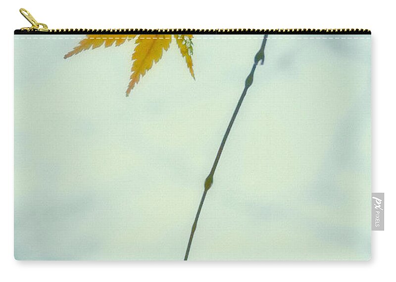 Fall Zip Pouch featuring the photograph A Single Leaf by Jonathan Nguyen