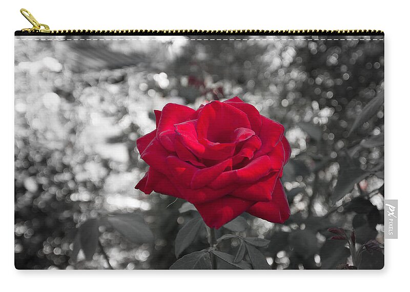 Rose Zip Pouch featuring the photograph A Single Red Rose - Portland - Oregon by Bruce Friedman