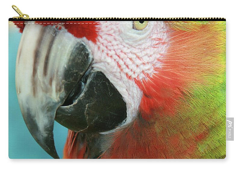 Aloha Zip Pouch featuring the photograph A Thing of Beauty is a Joy Forever by Sharon Mau