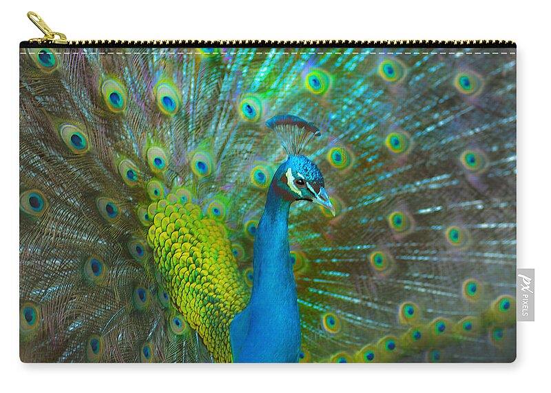Peacock Zip Pouch featuring the photograph Peacock Face Mask by Patricia Dennis